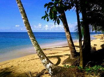 Hotel Physis Caribbean 5*