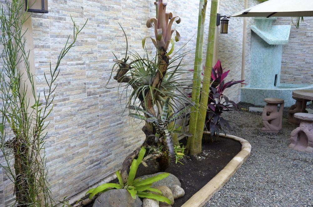Physis Caribbean