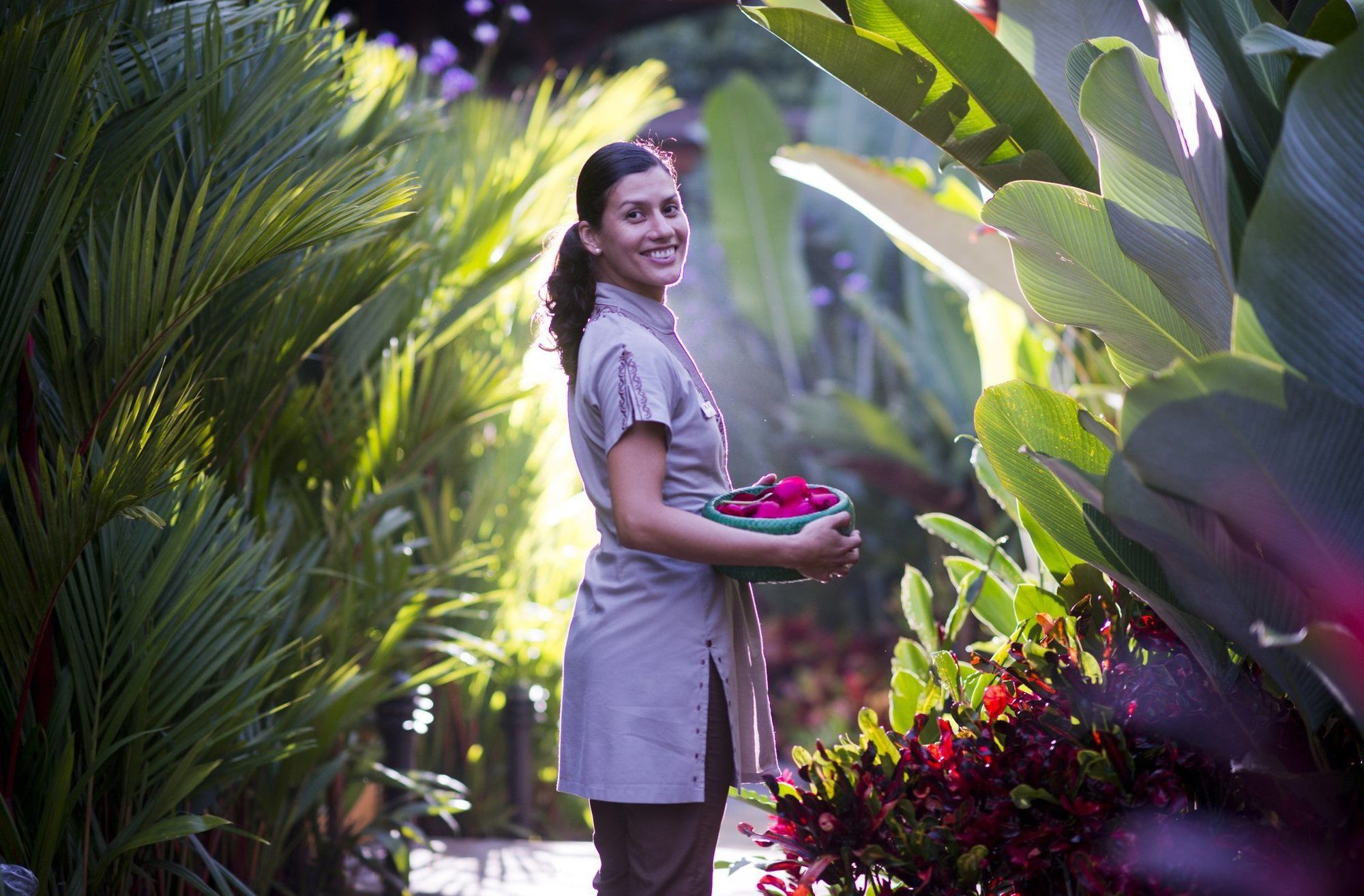 Hotel Nayara Gardens 5*