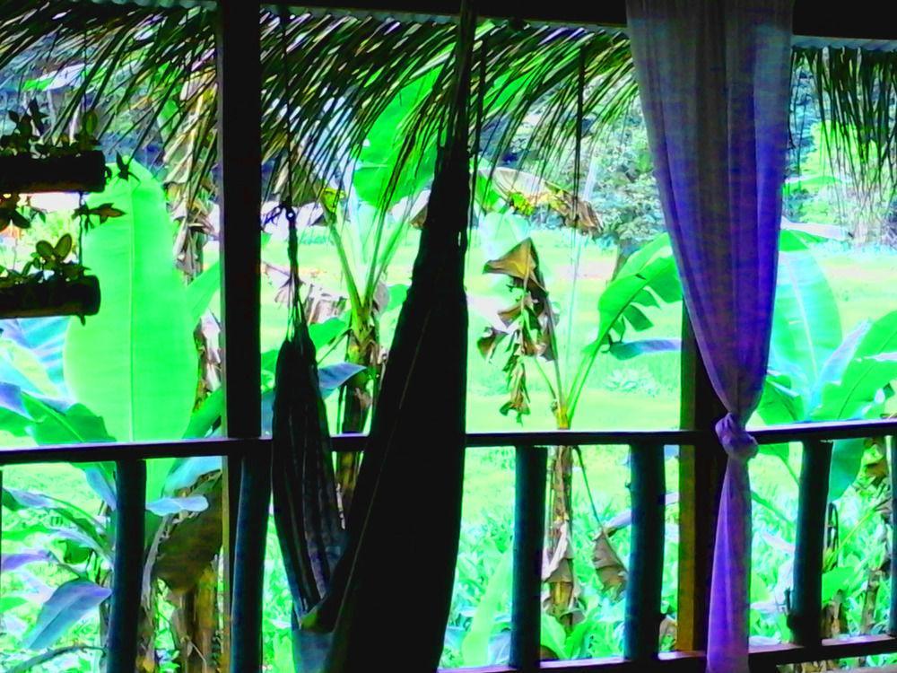 Hostel Blue Butterfly Puerto Viejo de Talamanca