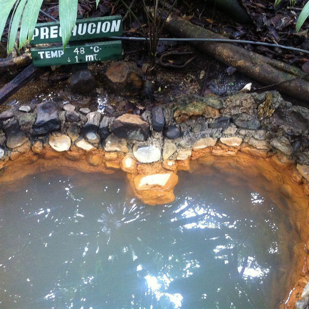 Termales Del Bosque & Hot Springs La Marina