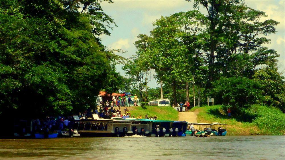 Baula * Tortuguero