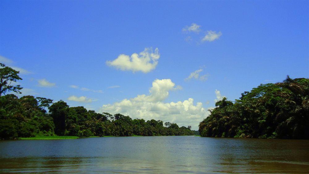 Baula Lodge Tortuguero
