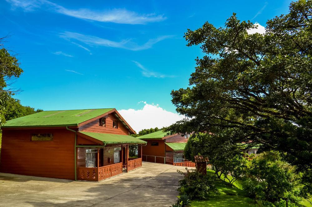 Heliconia - 4* Monteverde