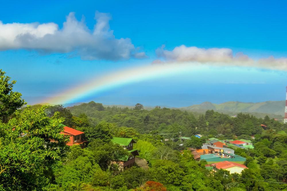 Heliconia - Hotel Monteverde