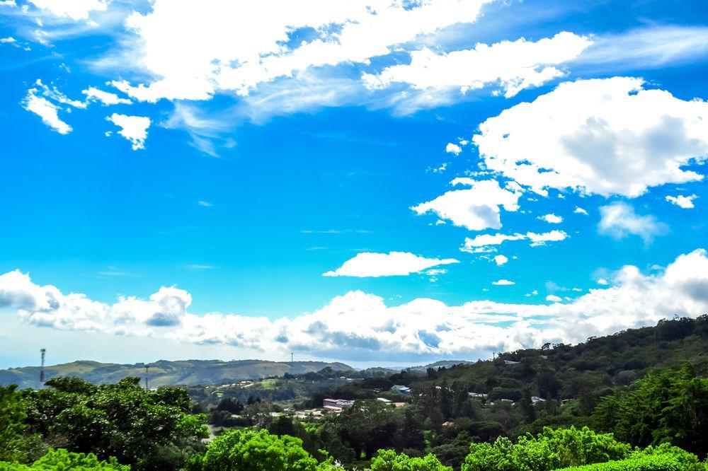 Heliconia - 4* Monteverde