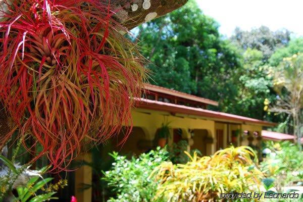 Docelunas Hotel Jaco