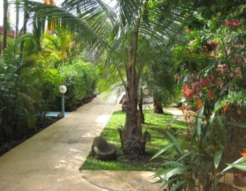La Palmera Jaco