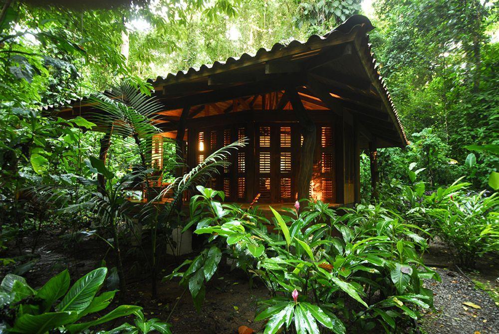 Playa Nicuesa Rainforest Eco Sanctuary *