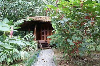 Playa Nicuesa Rainforest Eco Sanctuary * Golfito