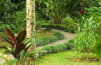 Playa Nicuesa Rainforest Eco Sanctuary Lodge *