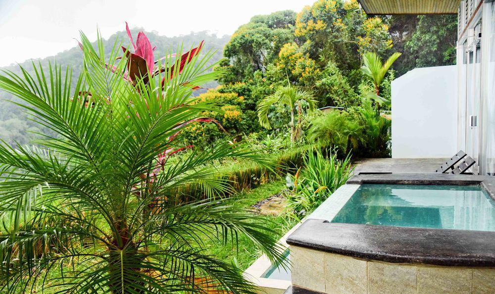 Vista Celestial Hotel Uvita