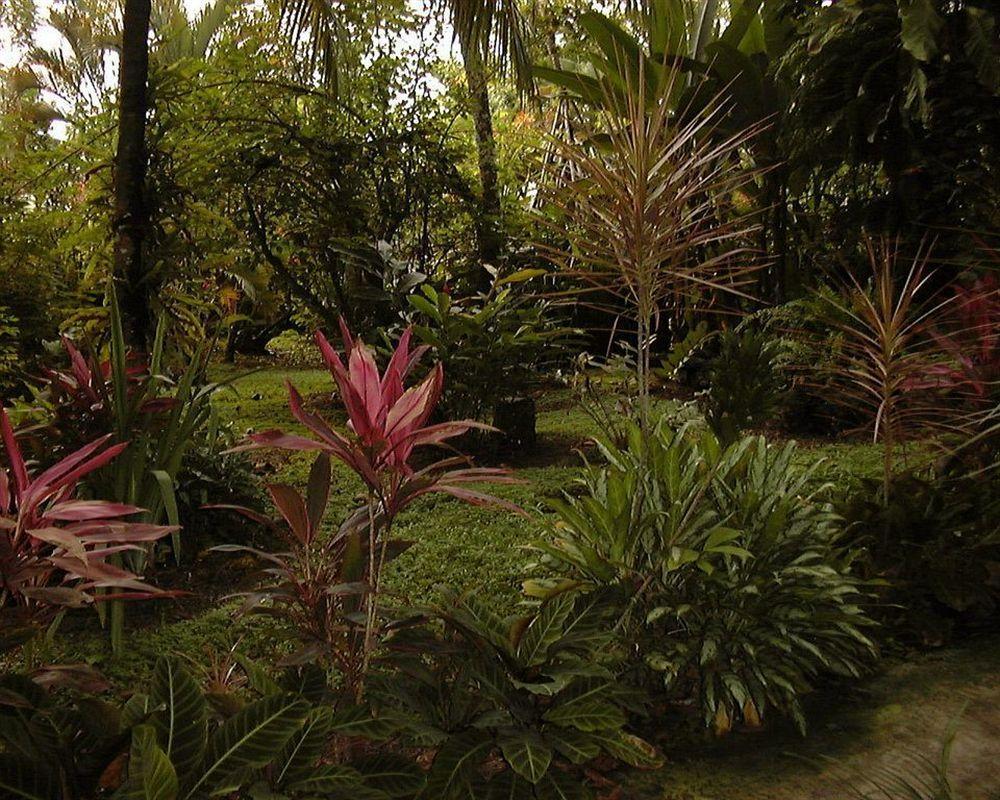 Atlantida Lodge *