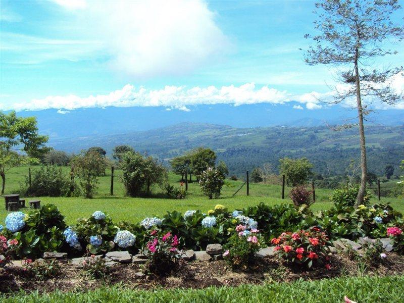 Guayabo Hotel