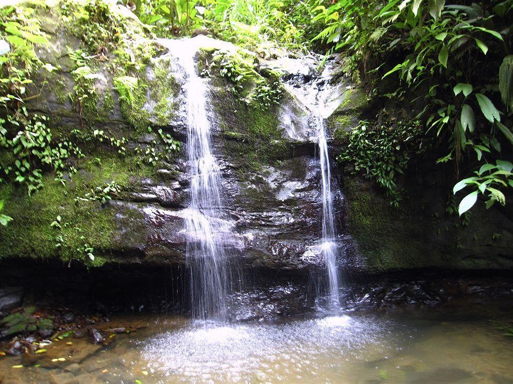 Samasati Yoga & Wellness Retreat Hotel 3*