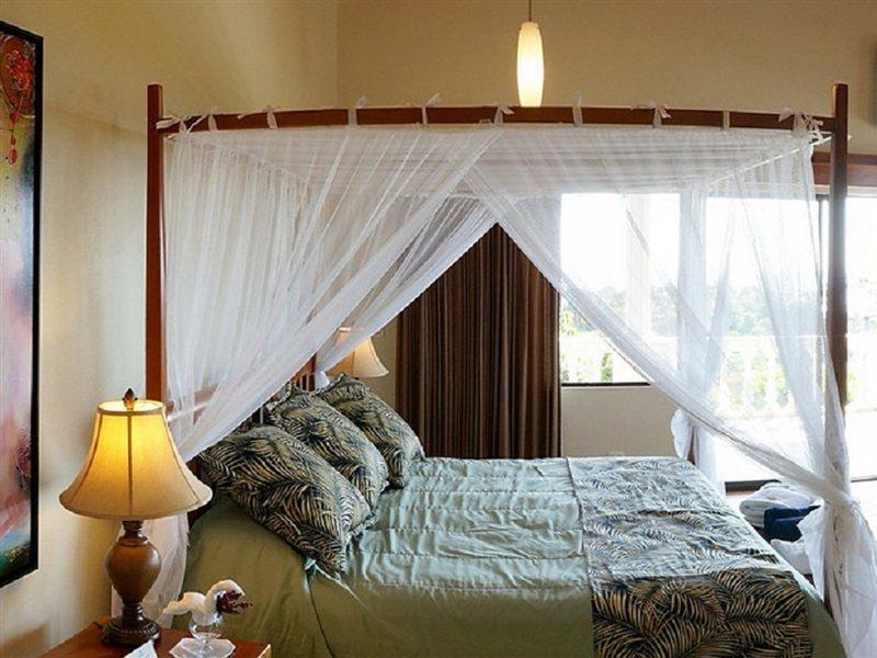 Hotel Cristal Ballena Boutique & Spa