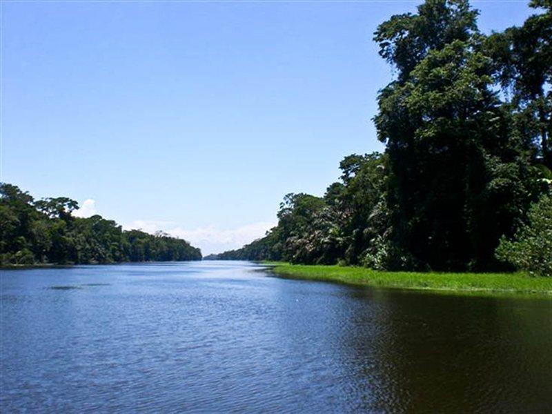 Hotel Pachira Tortuguero