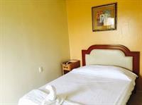 Hotel Del Bosque 2*