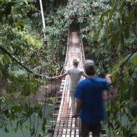 Aguila De Osa Rainforest Hotel 3*