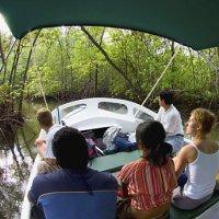Hotel Aguila De Osa Rainforest Drake Bay