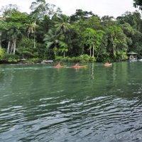 Aguila De Osa Rainforest 3* Drake Bay