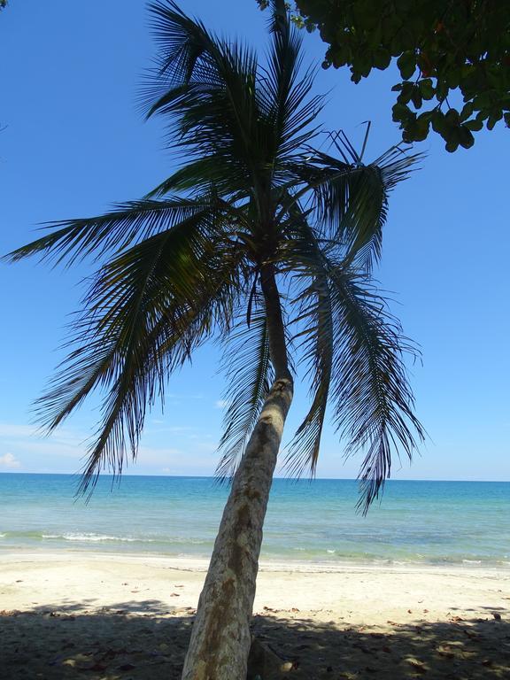 Cabinas Caribe Luna