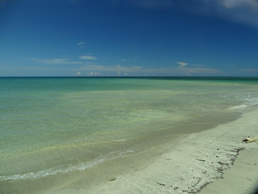 Cabinas Caribe Luna Cahuita