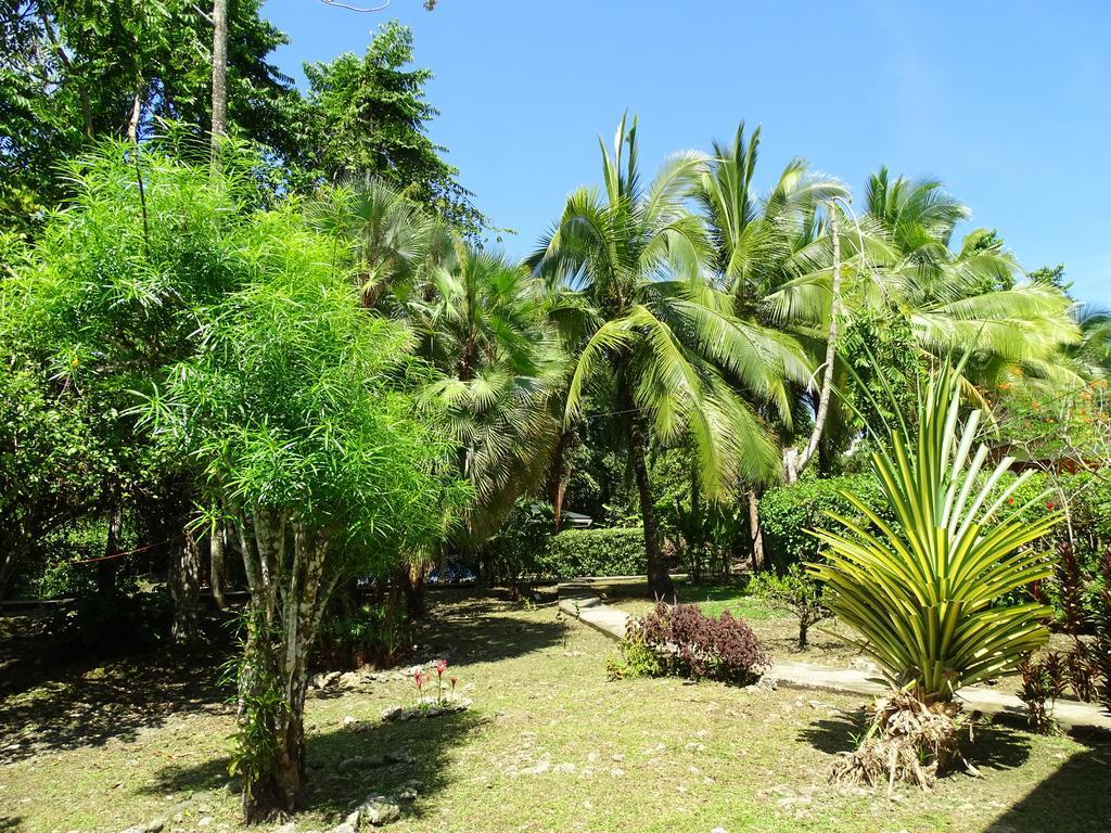 Cabinas Caribe Luna Cahuita