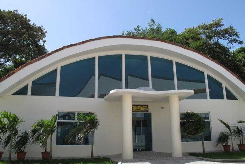 Mediterraneus