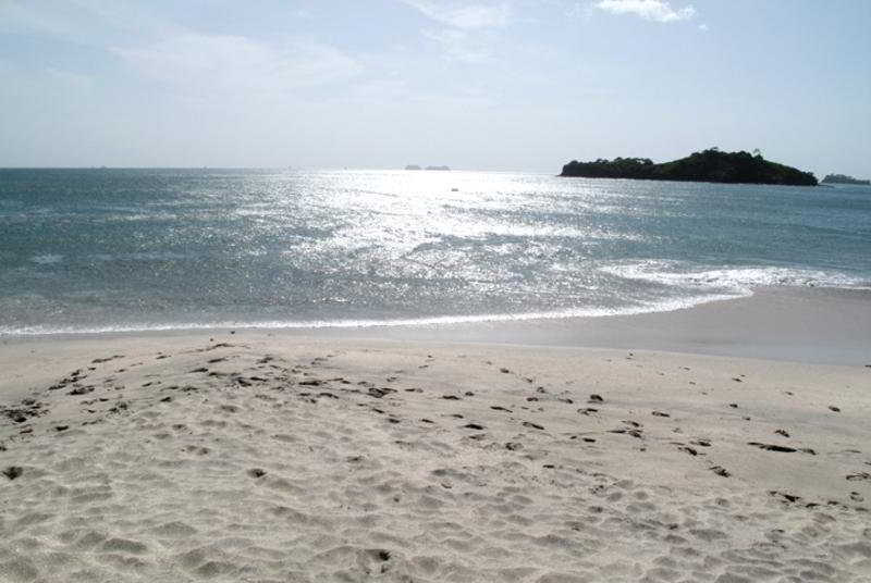 Mediterraneus Nicoya