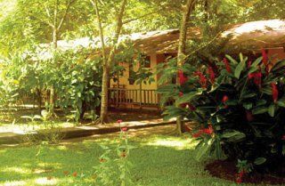 Lodge Turtle