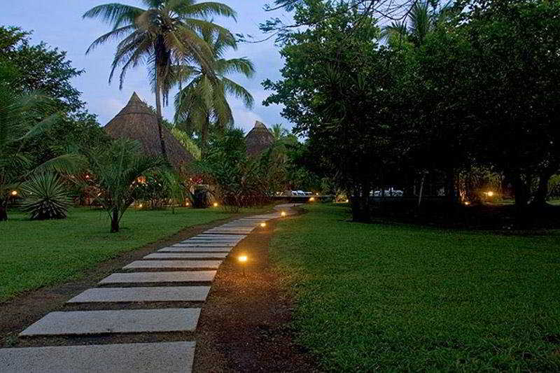 Lodge Turtle Tortuguero