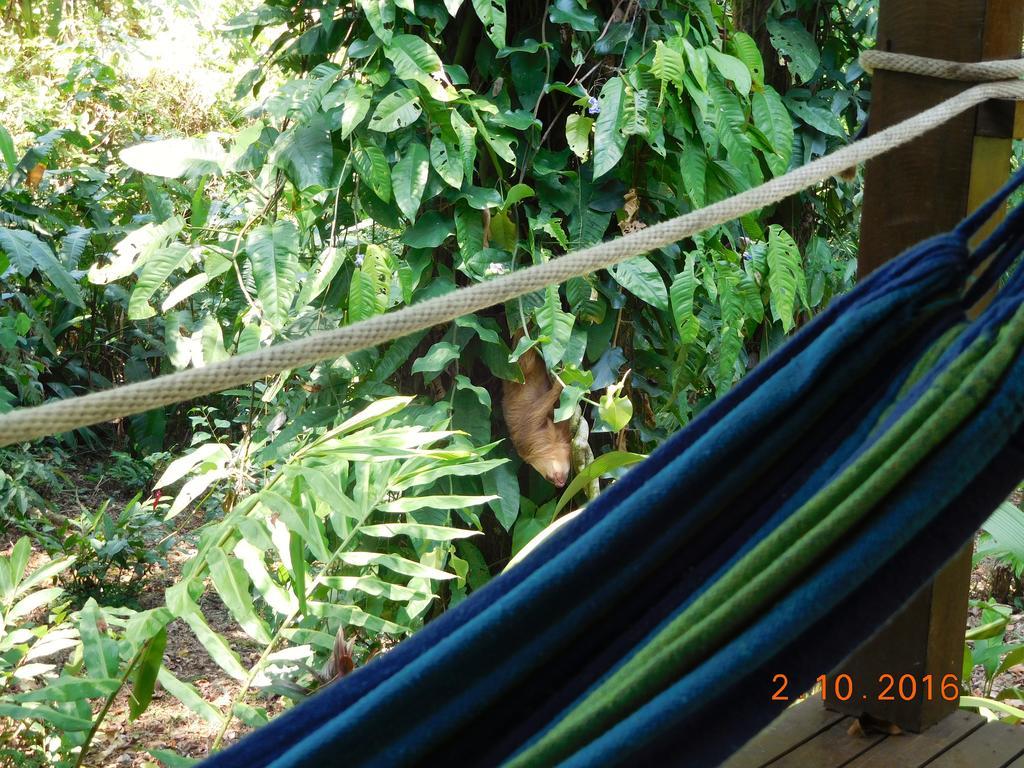 Casa Lina Sloth View Exotic With Privat Kitchen Apartment Puerto Viejo de Talamanca