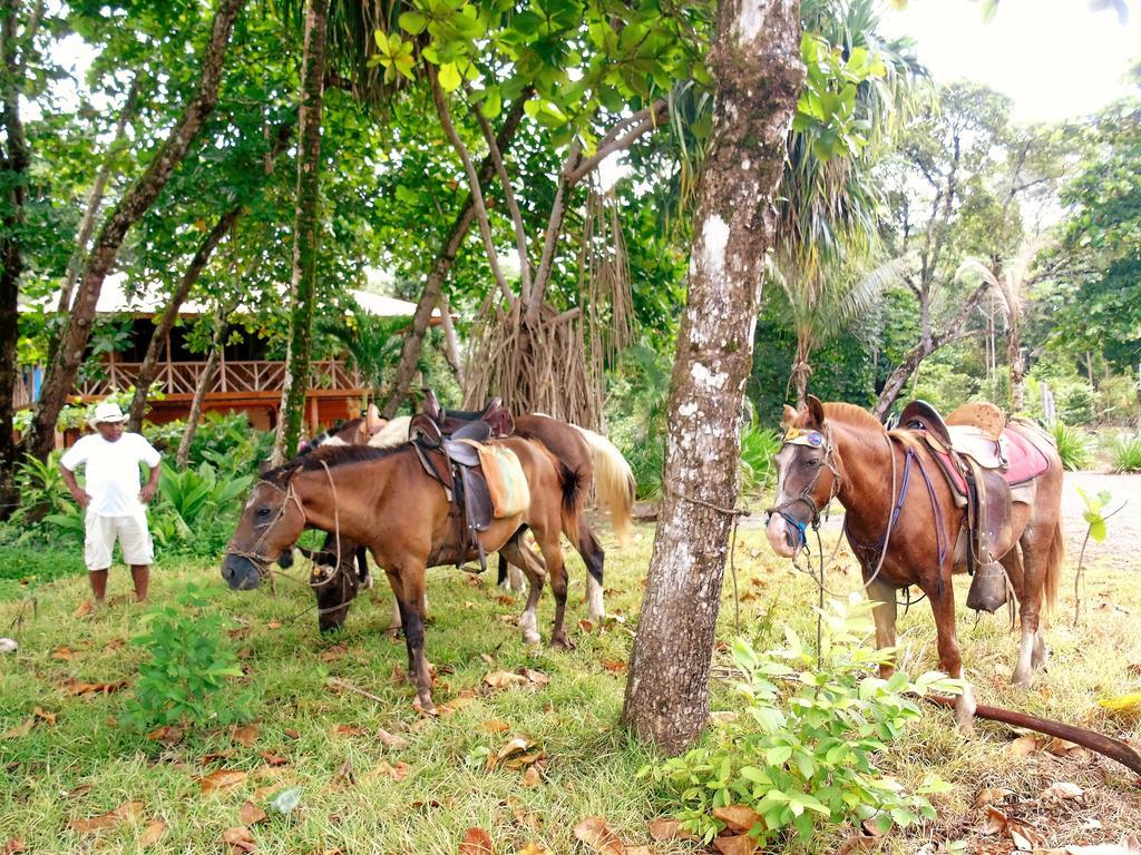Bed & Breakfast Punta Preciosa *