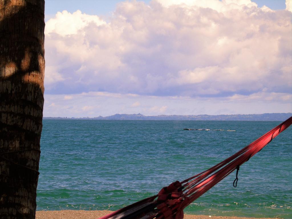 Punta Preciosa Bed & Breakfast *