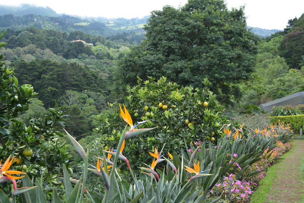 Finca Paraiso Mountain Retreat Near San Jose Airport 5*