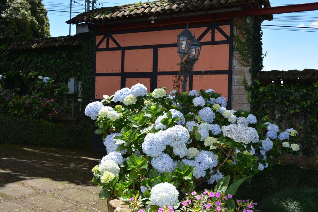 Finca Paraiso Mountain Retreat Near San Jose Airport 5* Birri