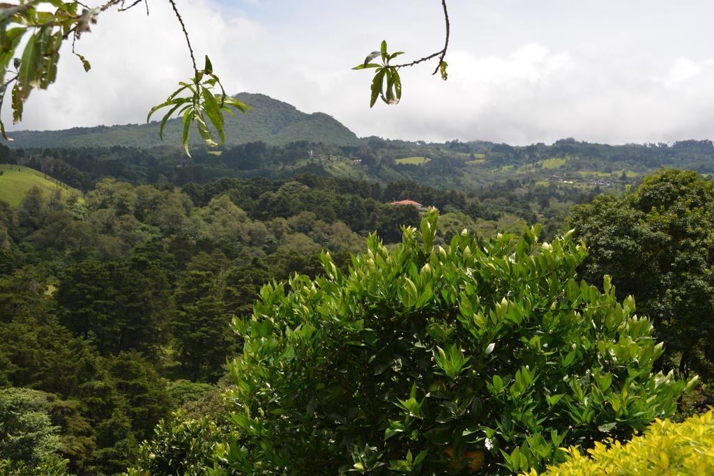 Finca Paraiso Mountain Retreat Near San Jose Airport Hotel Birri