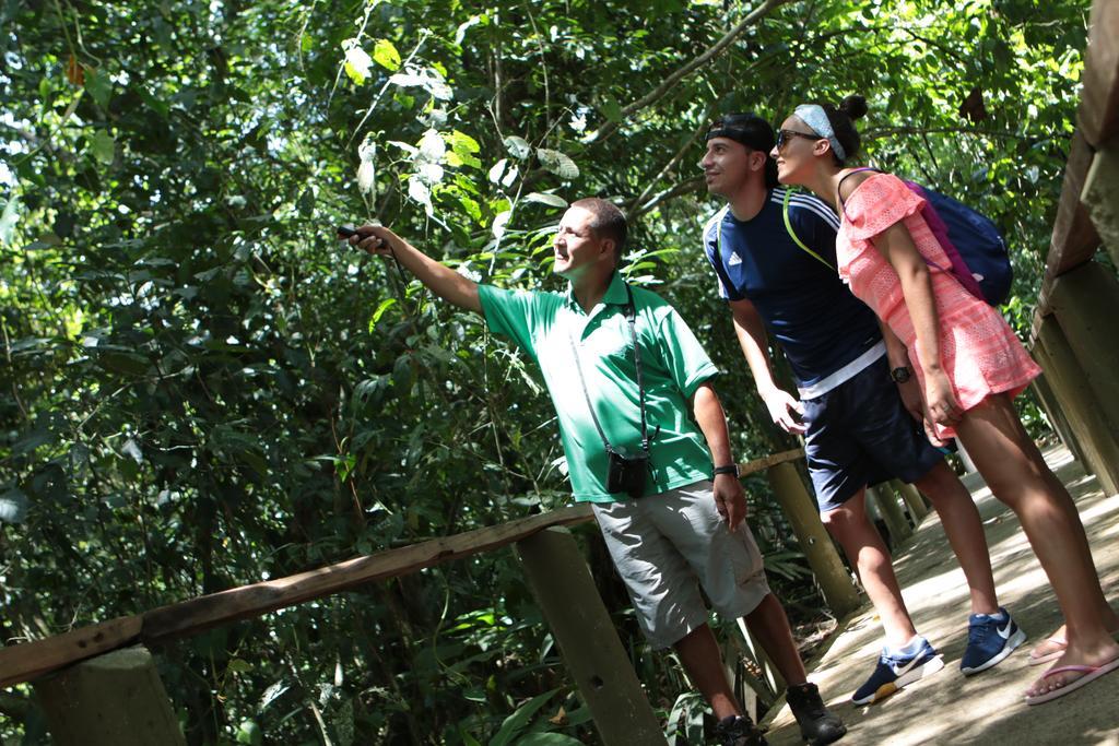 Pachira Tortuguero