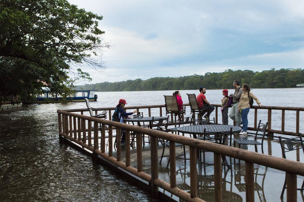 Pachira