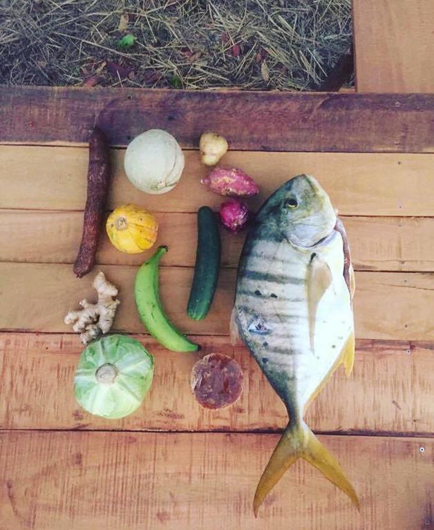 Carao Project * GUANACASTE