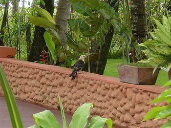 Beso Del Viento (adults Only) Parrita