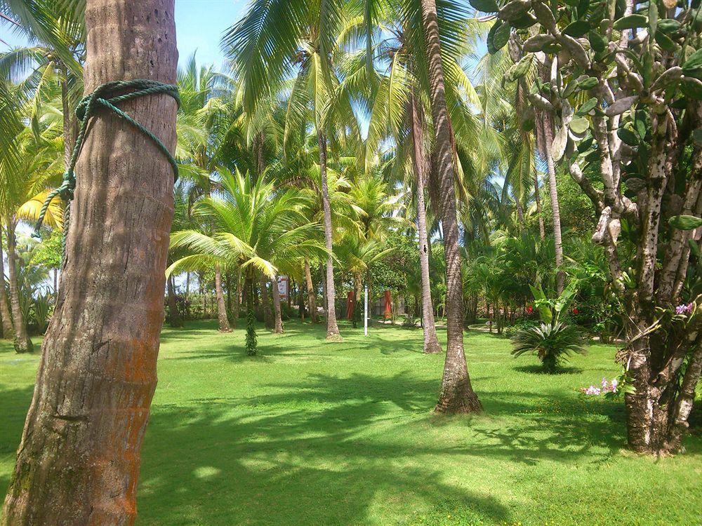 Beso Del Viento (adults Only) Hotel 3*