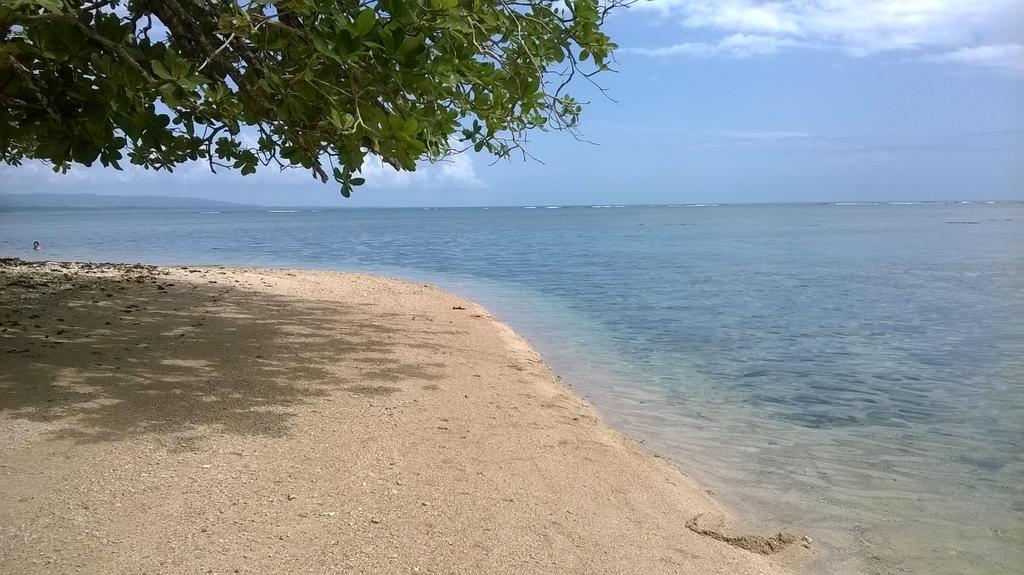 Cahuita Lodge *