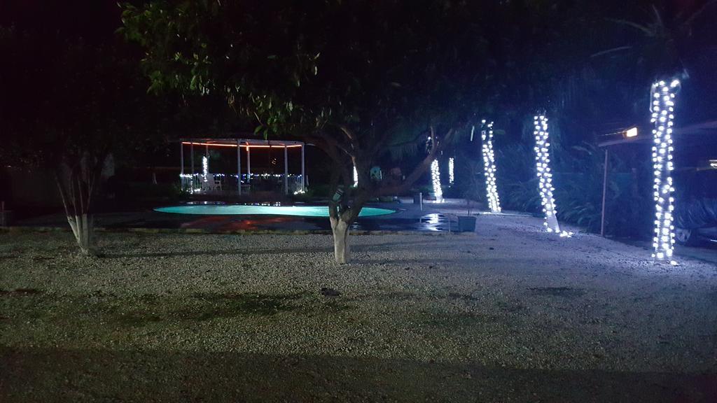 La Arena