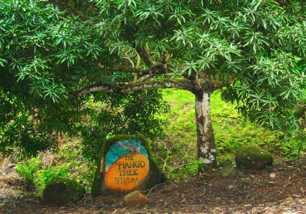 Hotel The Mango Tree Villas And Spa 3*