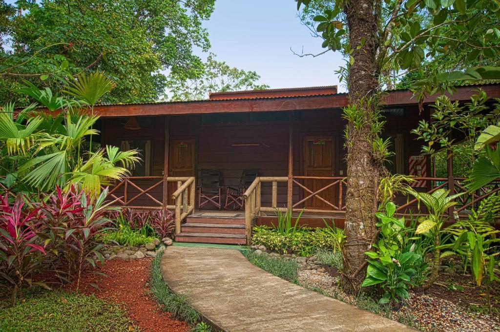 Pachira Tortuguero