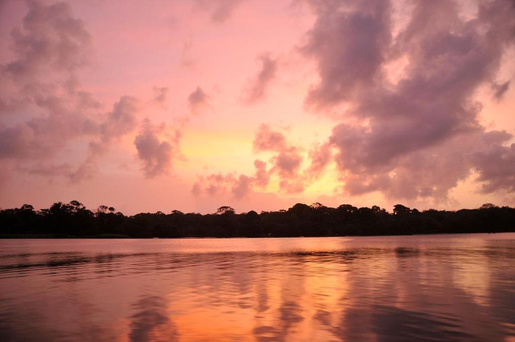 Pachira Hotel Tortuguero