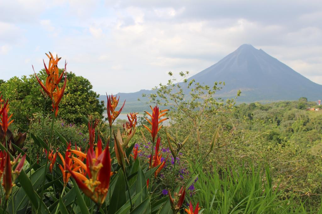 Castillo Del Hotel Arenal