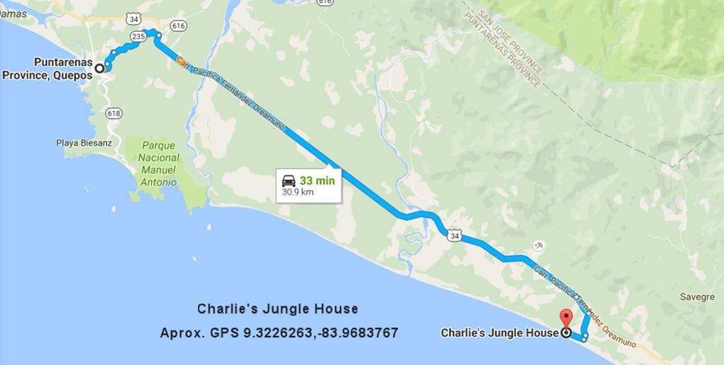 Charlie's Jungle House Guest house